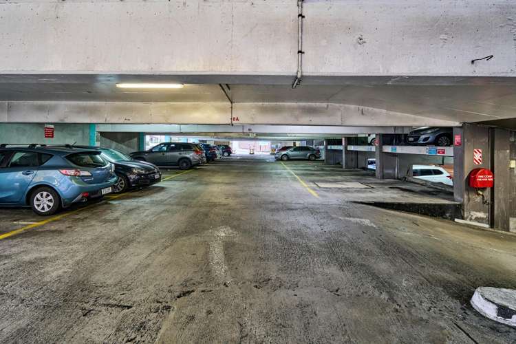 4 Gilmer Terrace Wellington Central_13