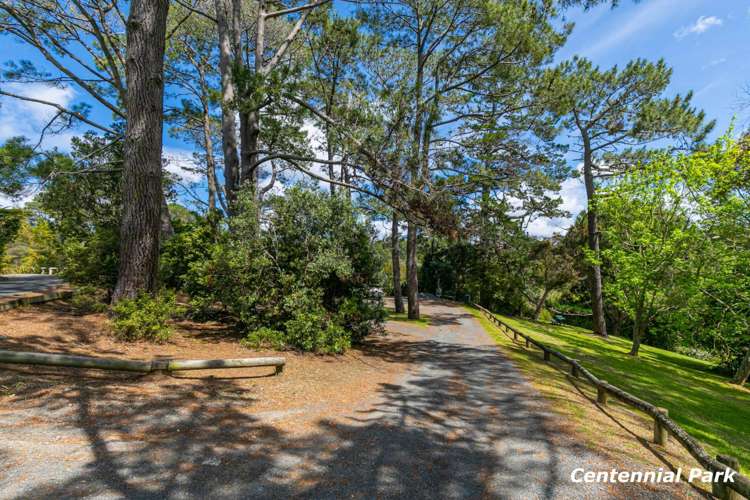 3 Tree Fern Trail Campbells Bay_28