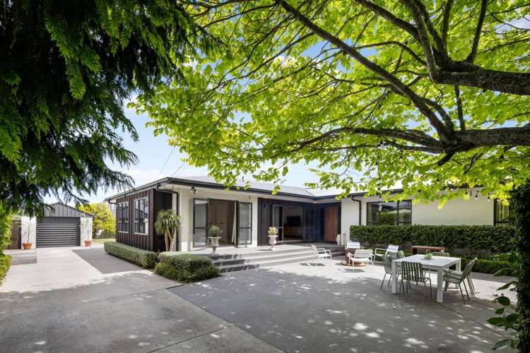 8 Bailey Avenue Claudelands_5