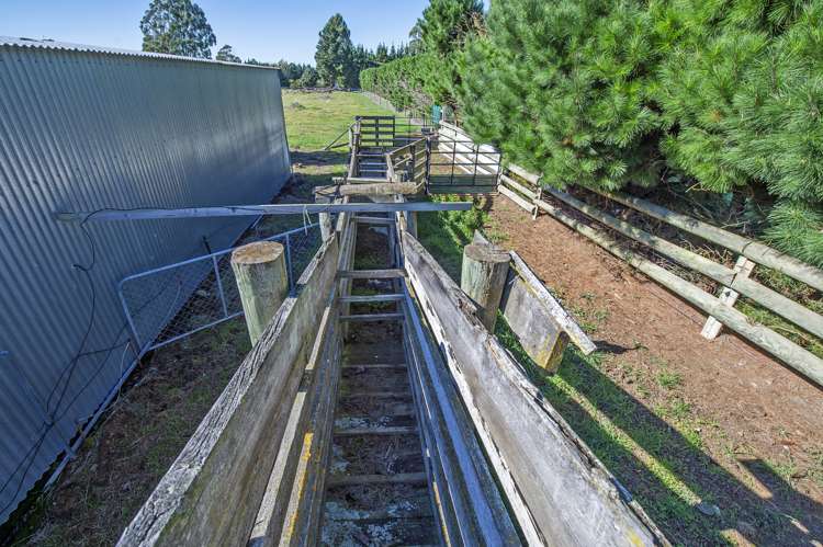 227 Karanga Road Dunsandel_19