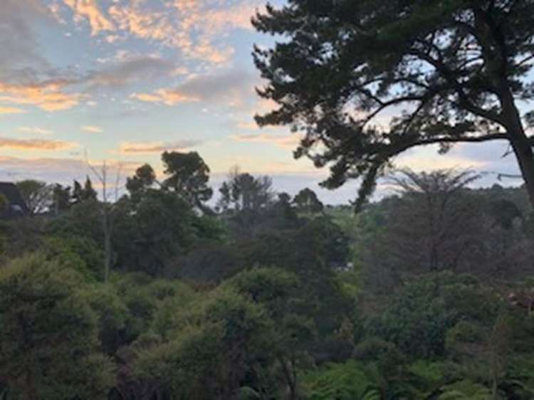 1143 Whangaparaoa Road Tindalls Beach_22