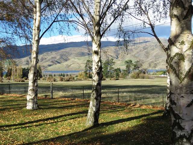 52 Burn Cottage Road Cromwell_2