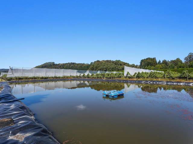 19 and 39 Butler Road Te Teko_2