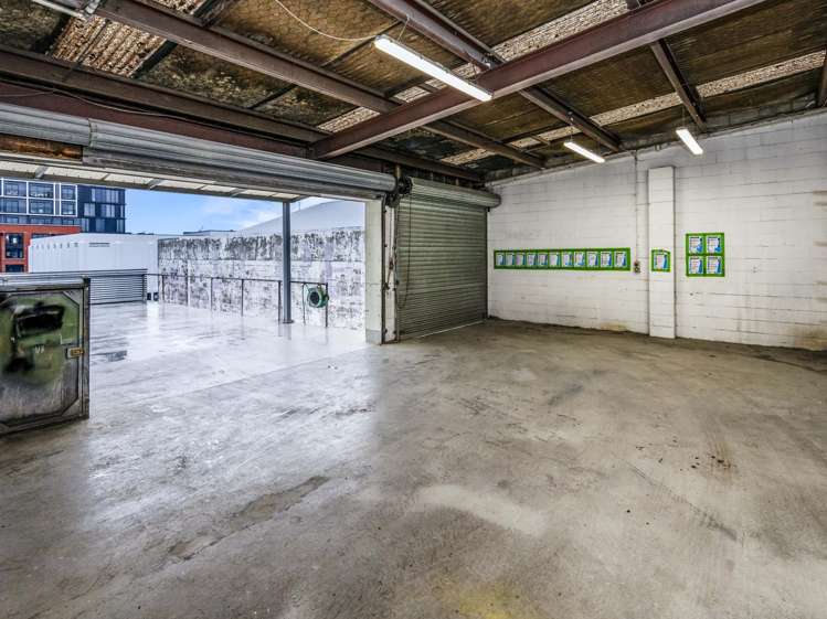 35 Randolph Street Eden Terrace_11