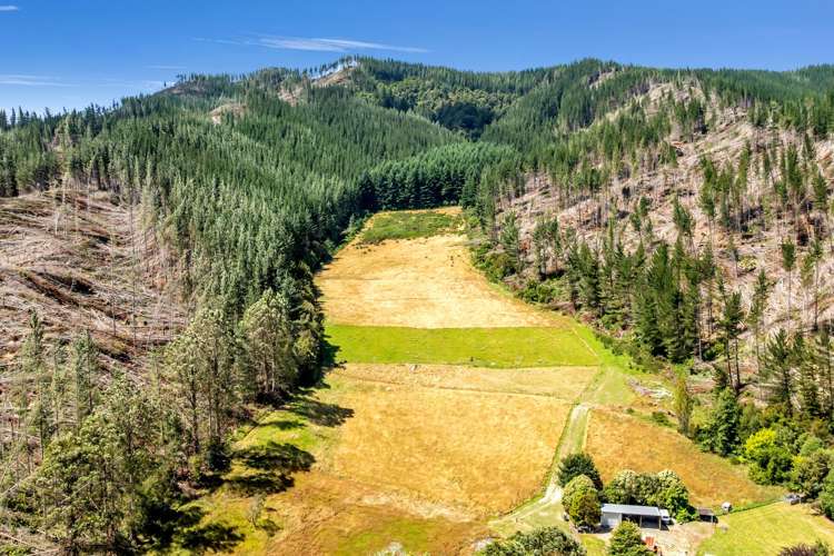 739 Tadmor-Glenhope Road Tapawera_18