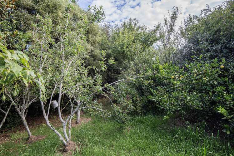 38 Our Road Whangarei Heads_35