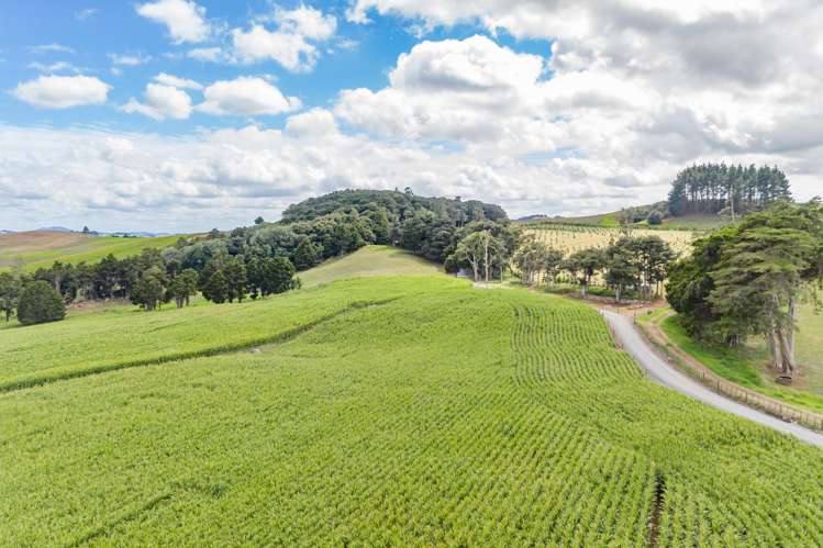 66 Kokopu Block Road Maungatapere_7