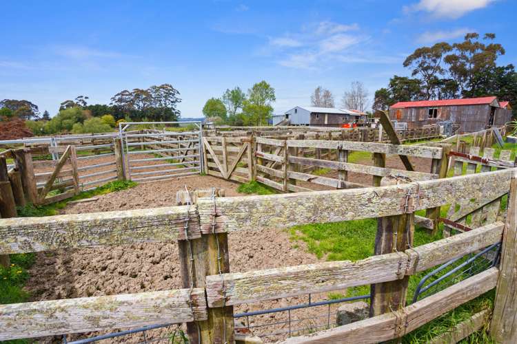 166 Airstrip Road Pikowai_7