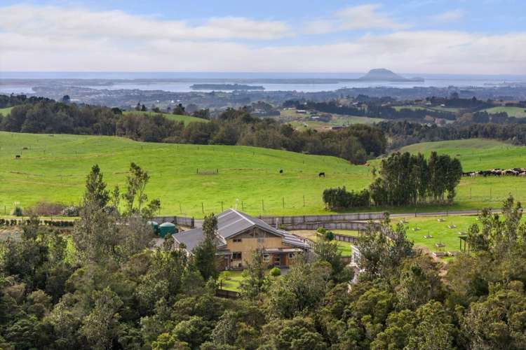 994 Work Road Whakamarama_22