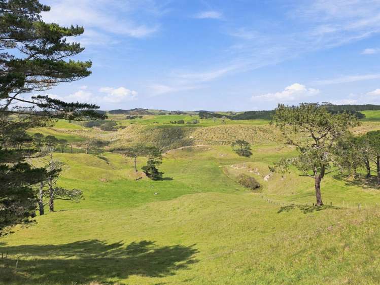 Mount Wesley Coast Road Dargaville_8