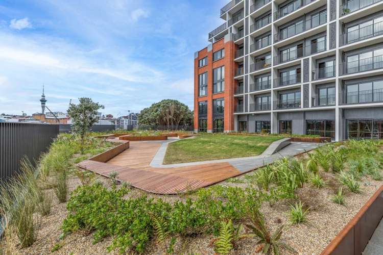 59 France Street Eden Terrace_23