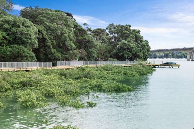 15 Toanui Road Hobsonville_2