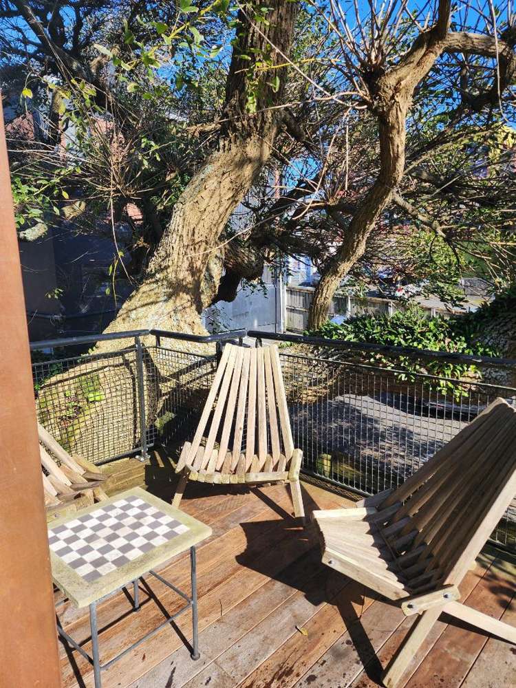 1/66 Powderham Street New Plymouth City Centre_13