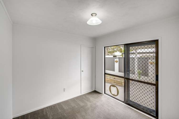 415a Gloucester Street Taradale_8