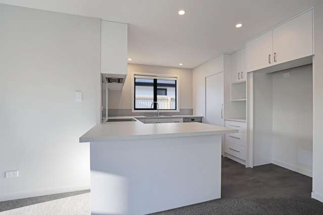174b McMurdo Street Tinwald_3