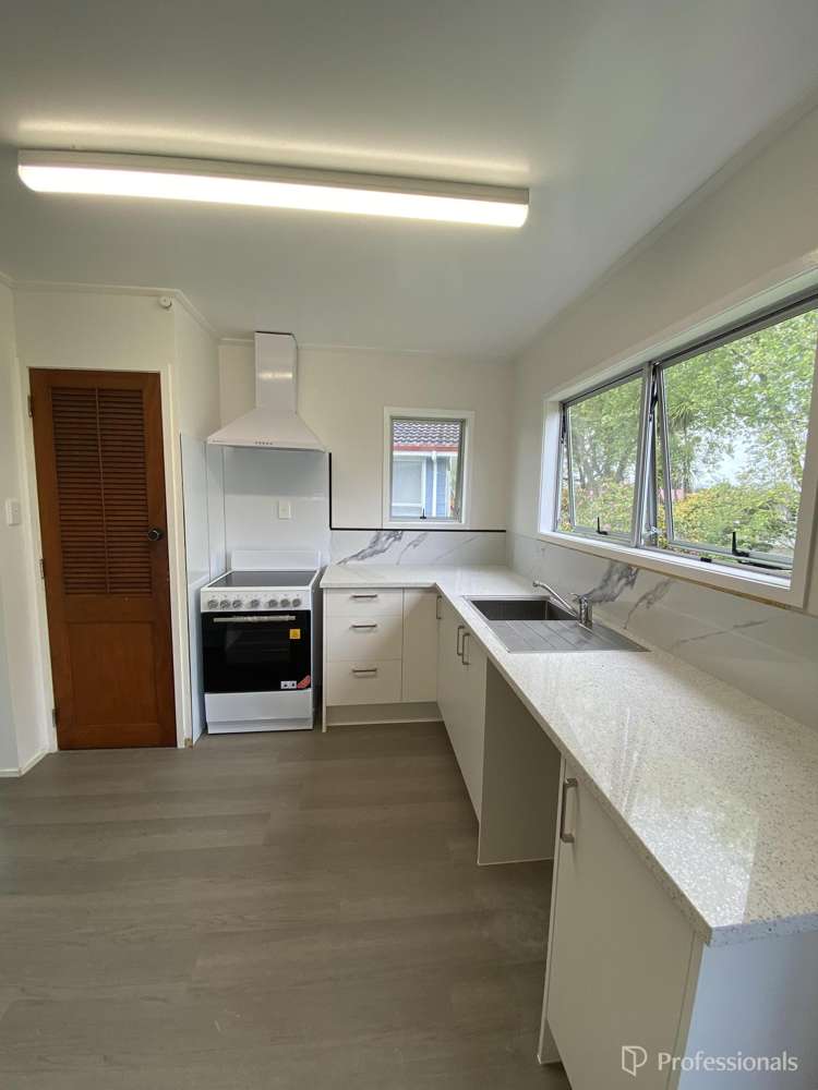 23 Mcshane Street Pukekohe_5