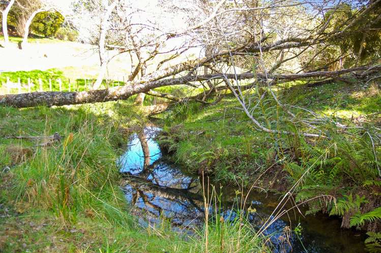 Lot 1 Mountain Road Maungaturoto_10