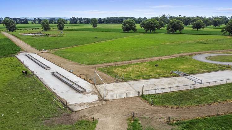 51a Waverley Road Gordonton_10