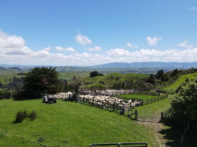 374 Otawhao Road Kumeroa_1