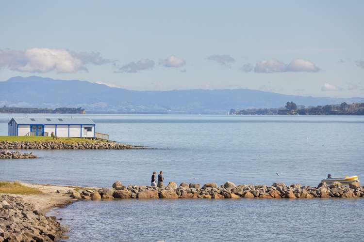 3/104 Dp Harbour Drive Otumoetai_16