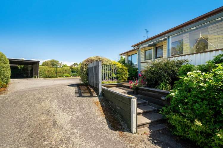 3 Wilson Street Renwick_23