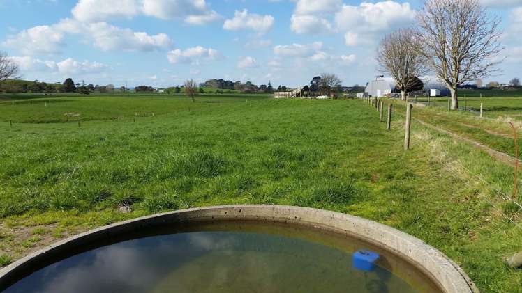 1966 Gordonton Road Taupiri_16