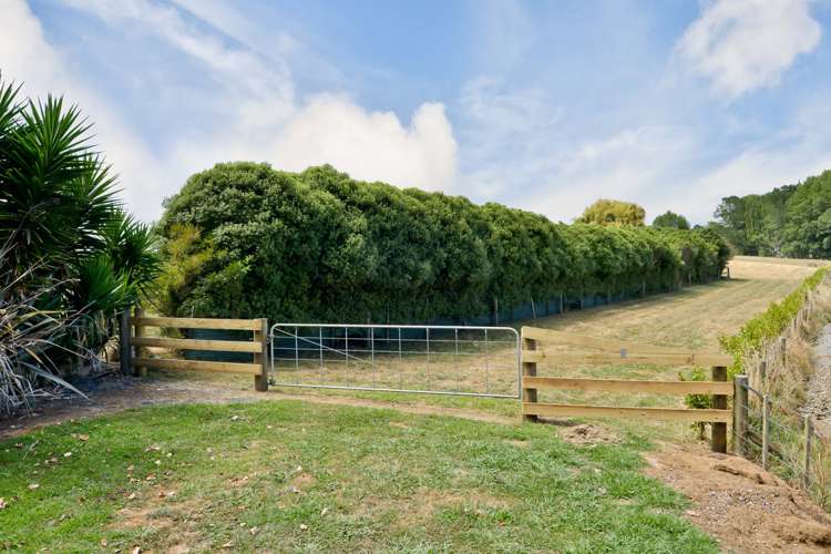 548c Te Kowhai Road Te Kowhai_0