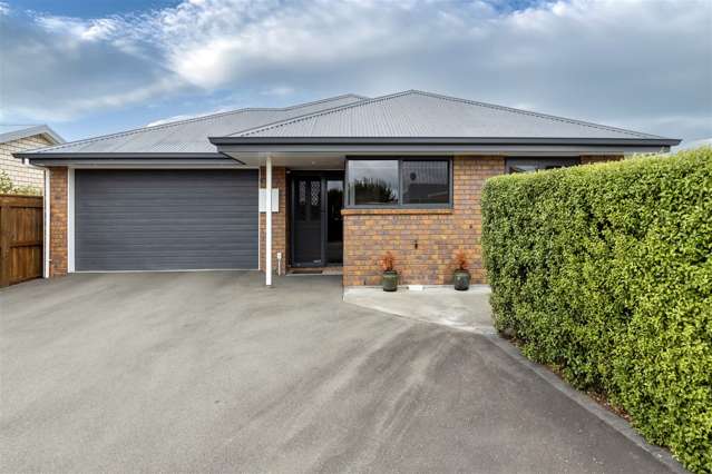 257 Scott Street Redwoodtown_4