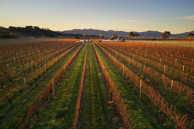 36 Wrekin Road Fairhall_17