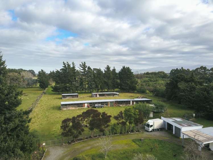 107 Norfolk Road Carterton_16