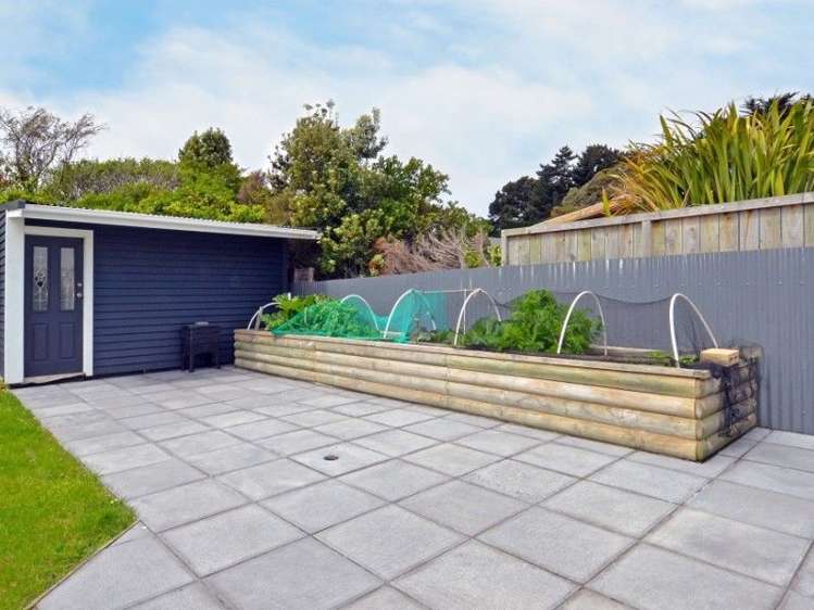 127 Hargest Crescent Saint Clair_19