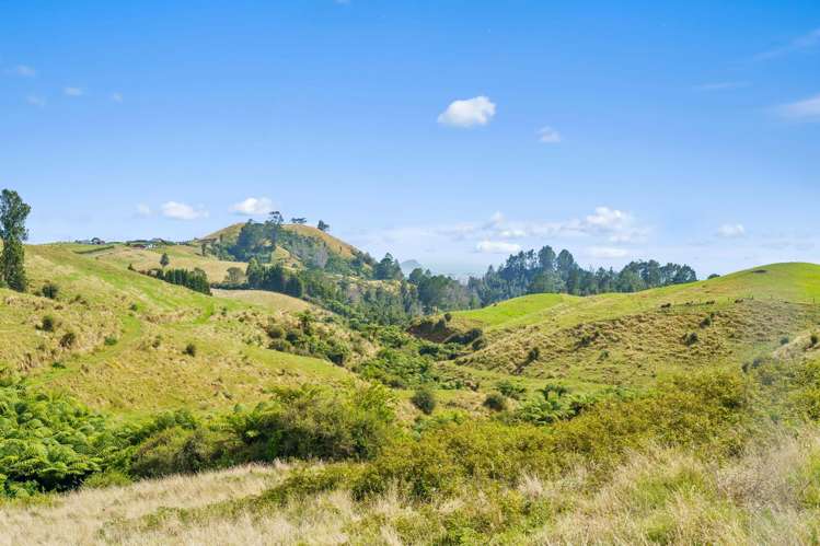 405F Rowe Road Ohauiti_10