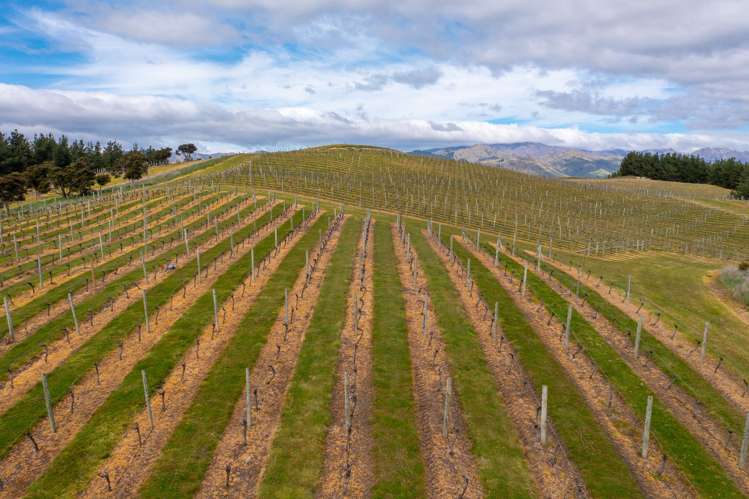 Delta Lake Heights Renwick_9