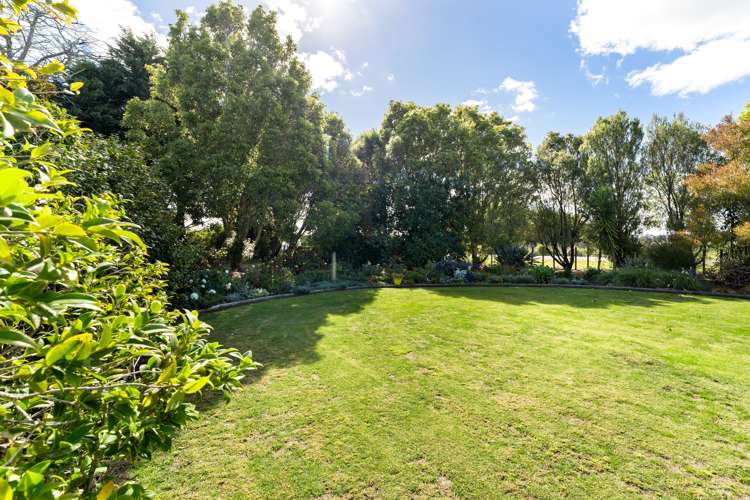 981 Roberts Line Bunnythorpe_10