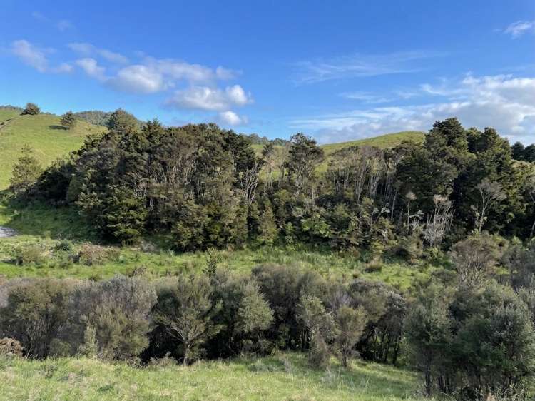 583 Lusk Road Ruawai_13