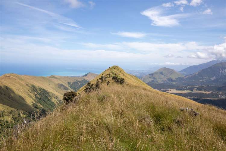 1178 Puhi Puhi Road Puhi Puhi_17