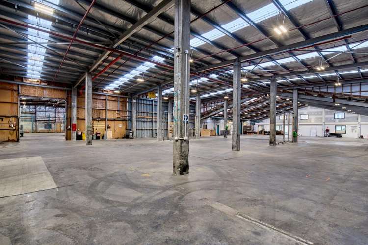 69 Waione Street Petone_5