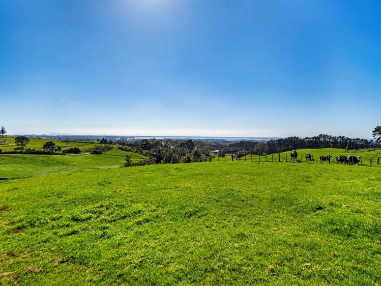 383 Busby Road Katikati_24