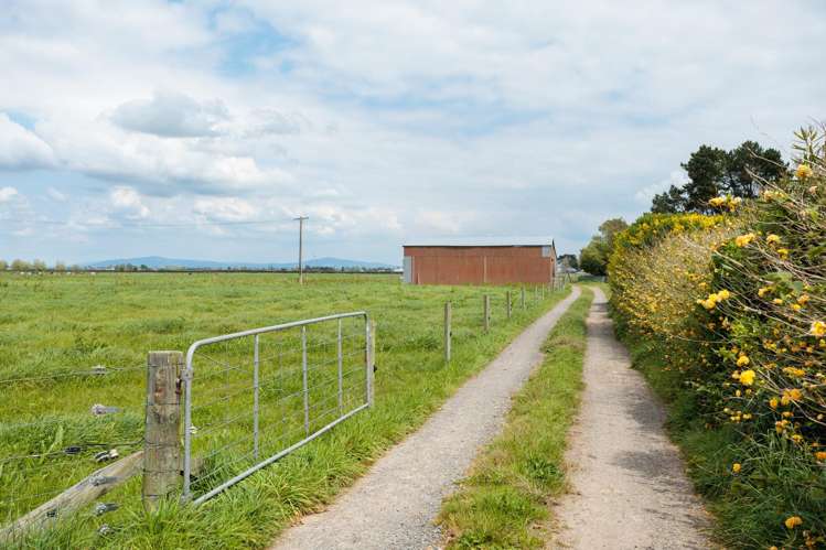 512 Manawaru Road Te Aroha_5