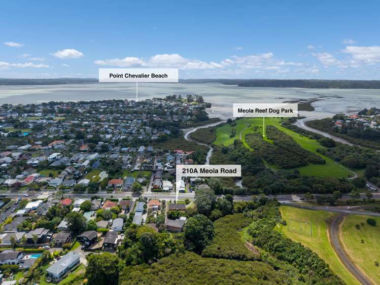 210A Meola Road Point Chevalier_27