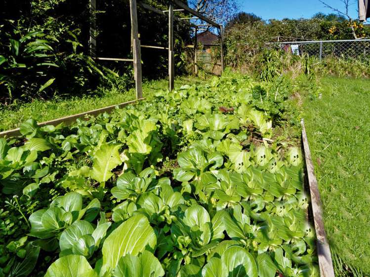 1/96 Taylor Street Blockhouse Bay_11