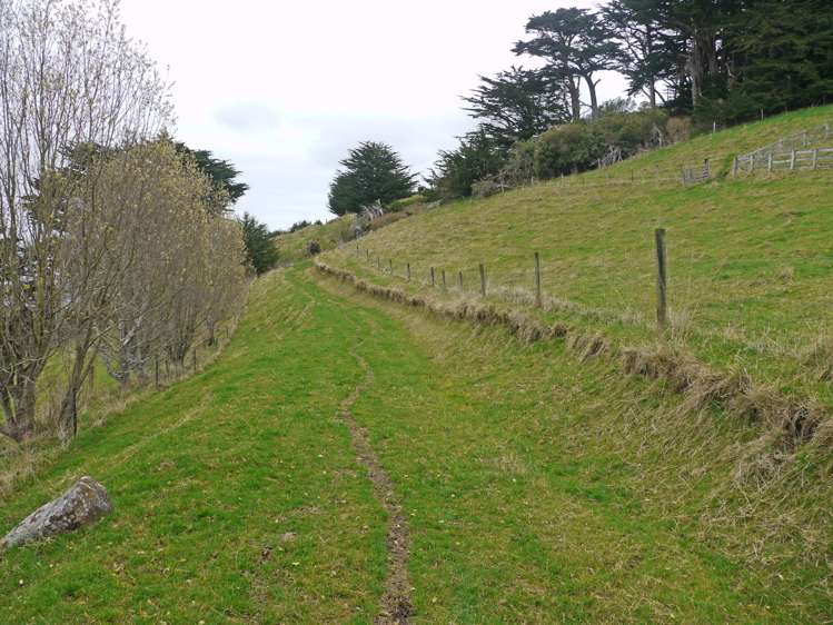 930 Highcliff Road Highcliff_7