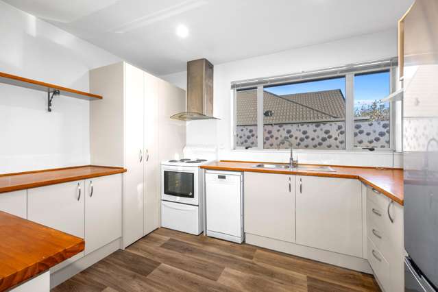 88 Disraeli Street Addington_1