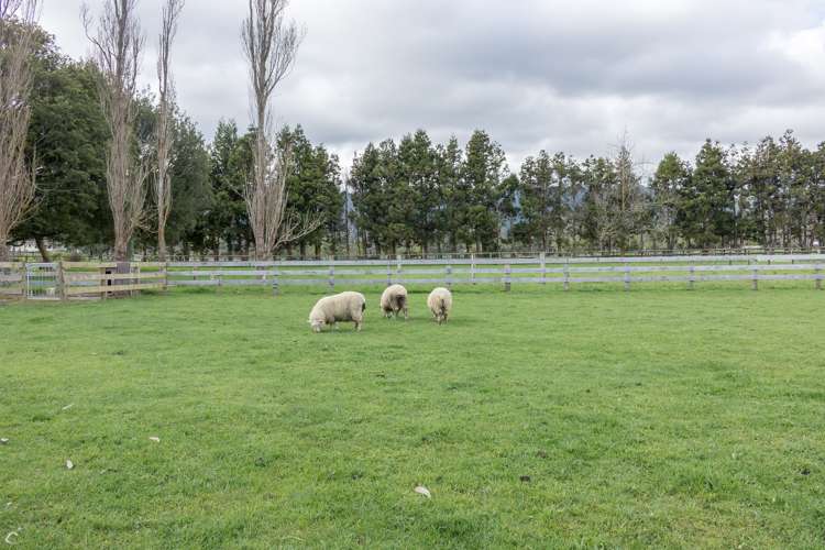 24 Wakefield Road Levin_22