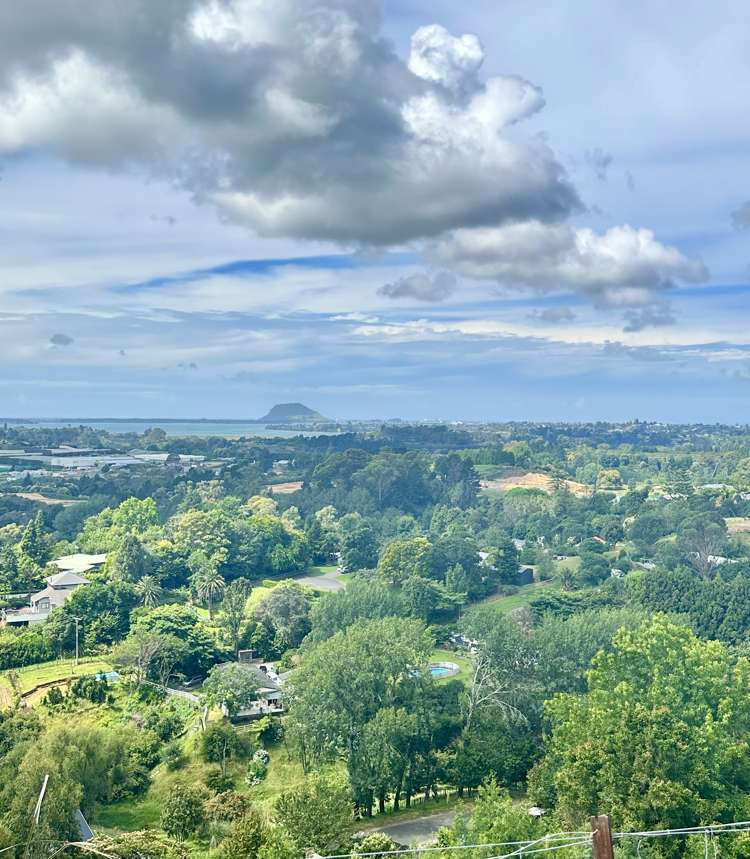 140e Minden Road Wairoa_8