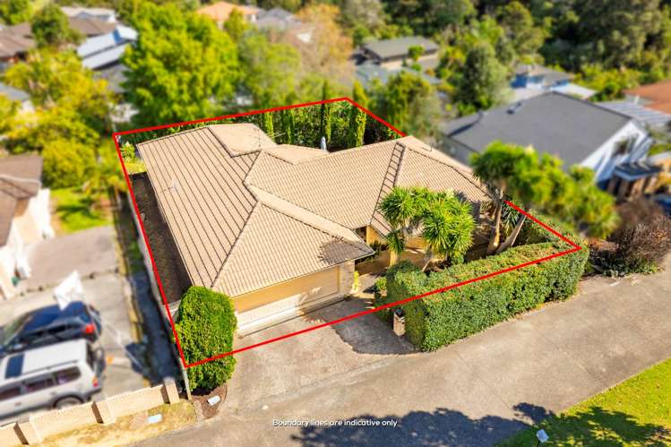 117c Glendhu Road Bayview_16