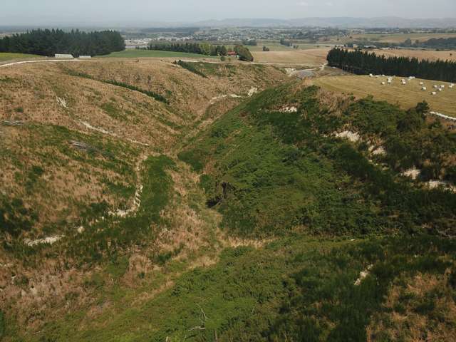 Sunflower Road Balclutha_2