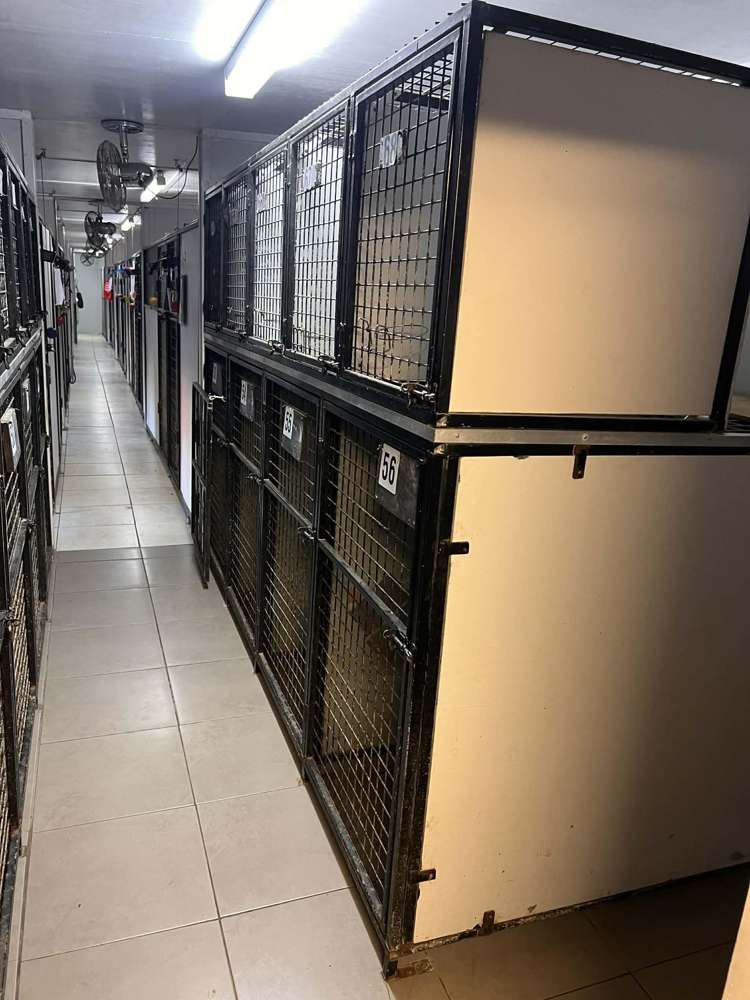 128 Mako Mako Road Levin_33