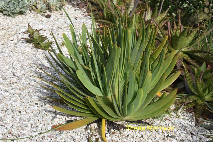 23 Te Wairoa Lane Tinopai_27