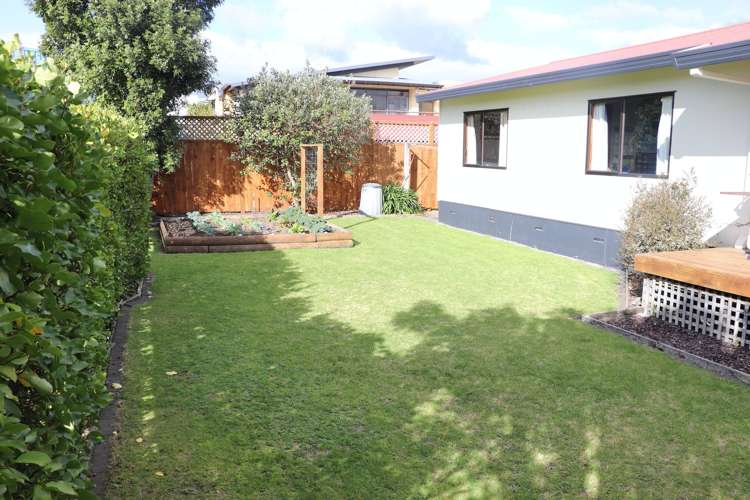 90a Edgecumbe Road Tauranga Central Tauranga Houses for Sale